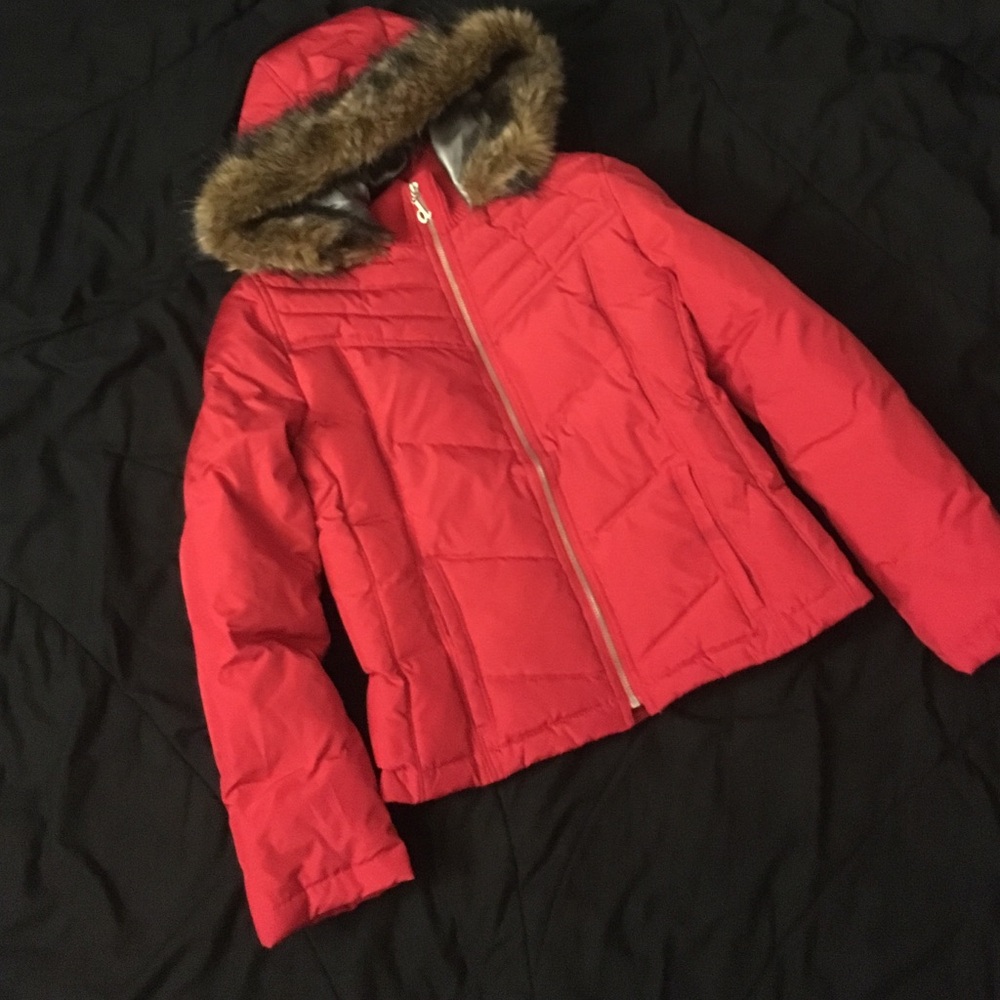 Winter Jacket - image 1